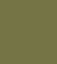 Army Paint Indian Green WWII