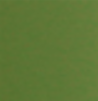 Army Paint Vietnam Green