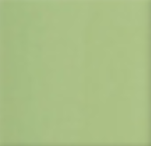 Army Paint Pale Green