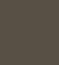 Army Paint Ranger Green