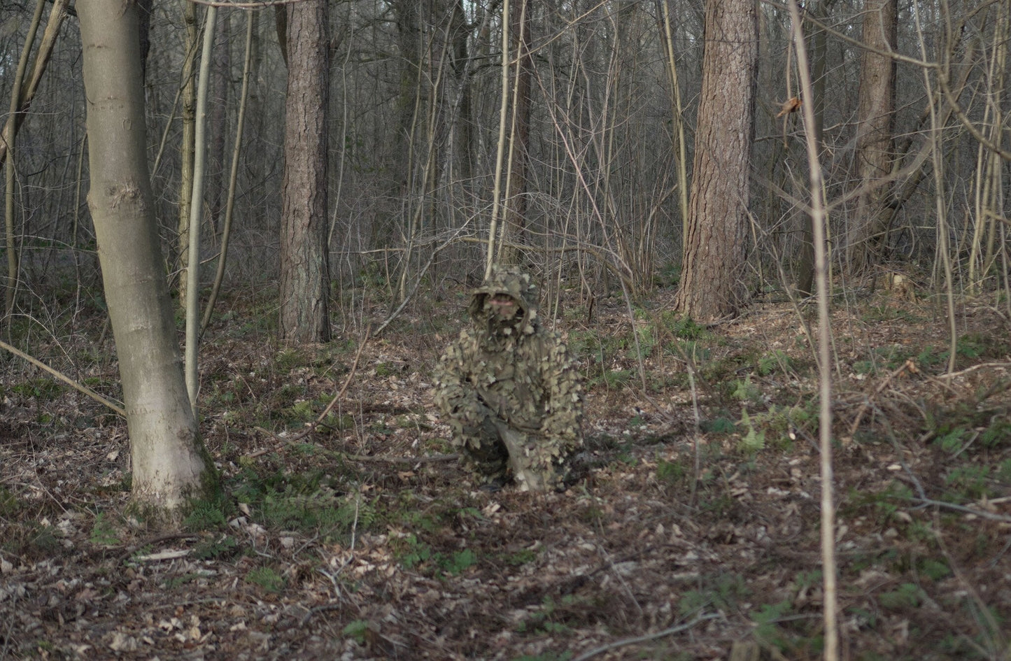 Alder Leaf Suit