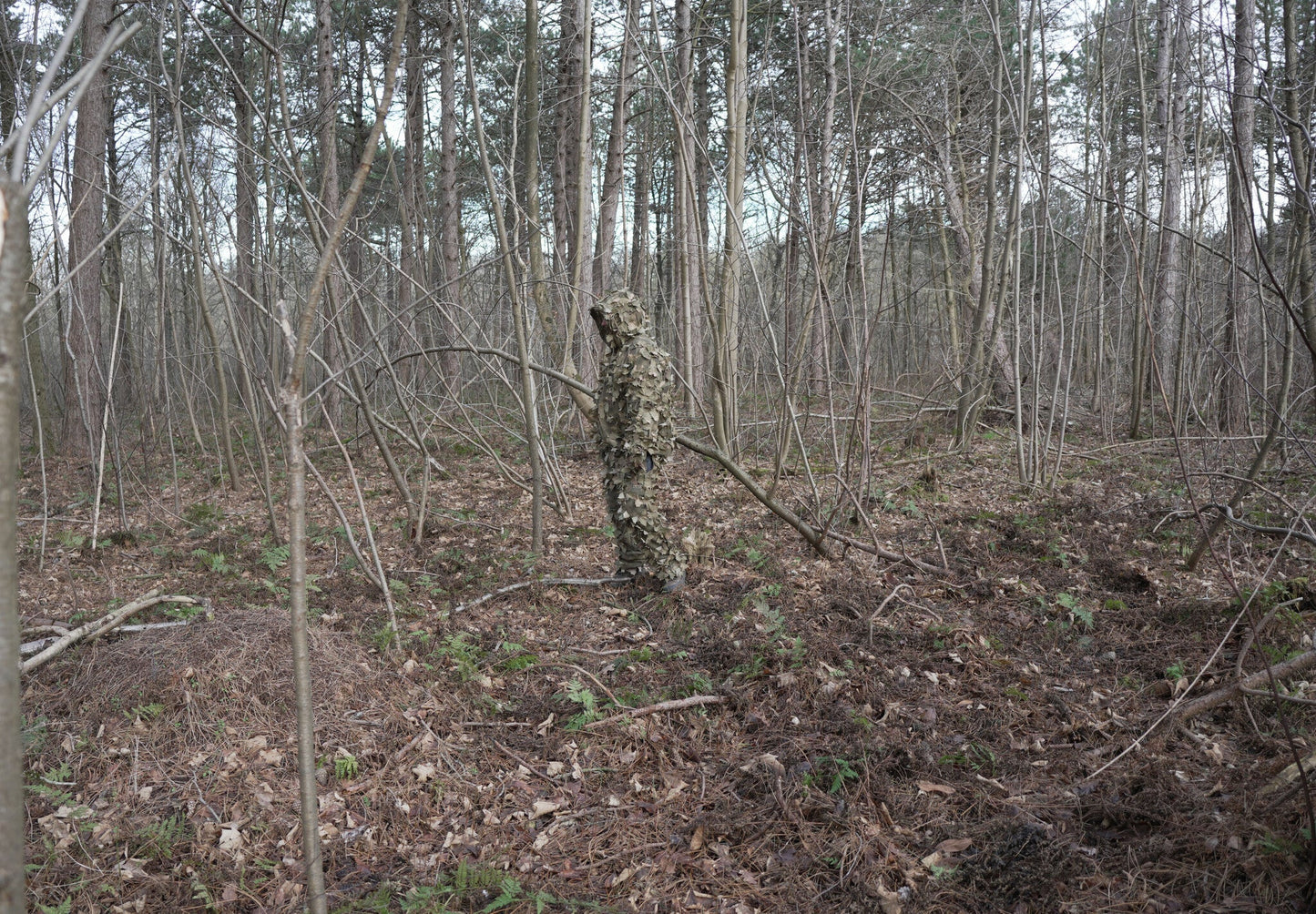 Alder Leaf Suit